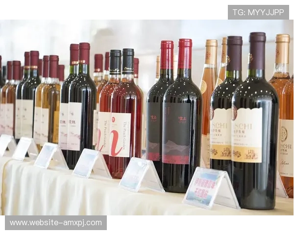 新葡萄京手机下载：最新优惠活动和福利礼包领取攻略，尽享专属福利