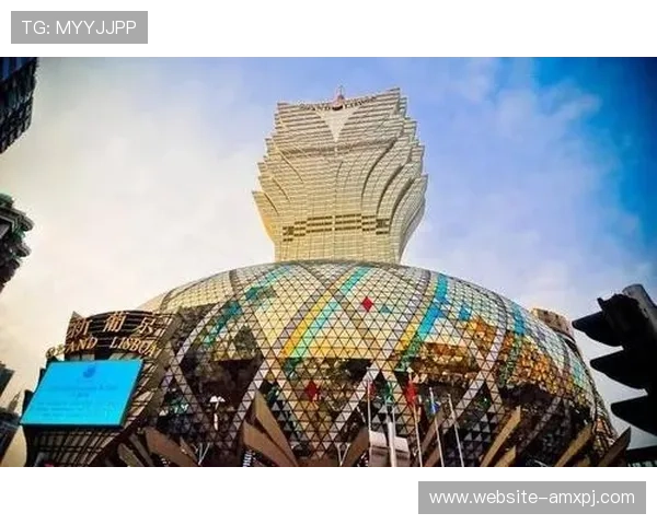 澳门新葡京旗舰厅官方地址访问技巧，教你快速找到官方入口避免被钓鱼网站欺骗