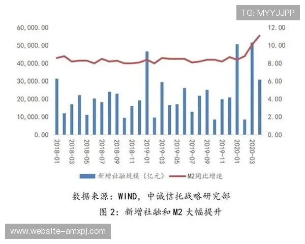 新普京公司注册账号的最新政策变化及应对策略分析 新普京公司注册账号的最新政策变化及应对策略分析
