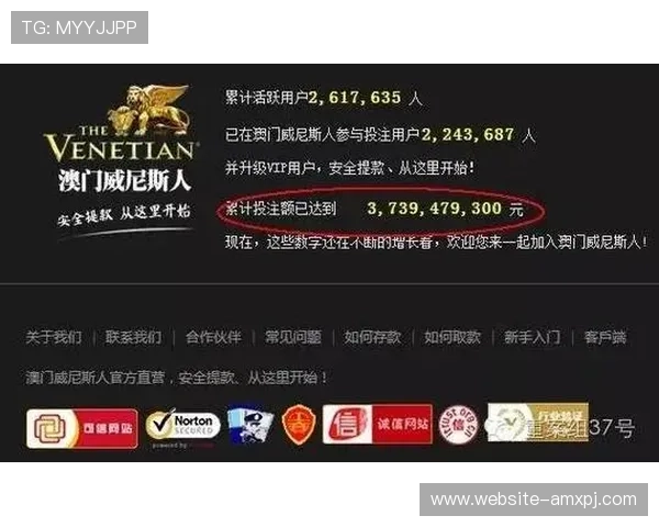 新葡京网址官方网站详细解析各种游戏玩法和赢取技巧分享