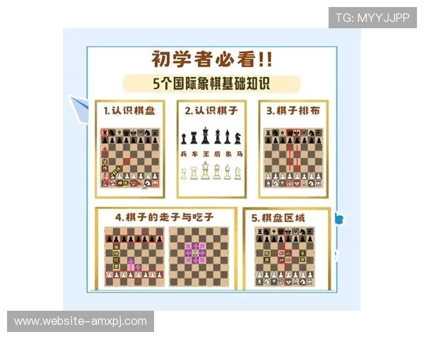 新普京正规官网提供详细的游戏规则与攻略指南，帮助新手快速上手体验游戏乐趣