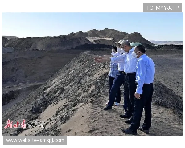 新葡京太阳城事件引发的法律责任追究与相关部门的应对措施详解